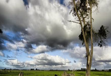 富力遭劲敌压制，客场小败蔚山現代