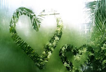 卡利亚里攻击火力全开，击败对手反超比分